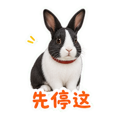 表情 4