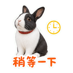 表情 9