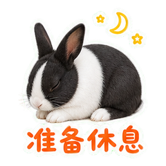 表情 11