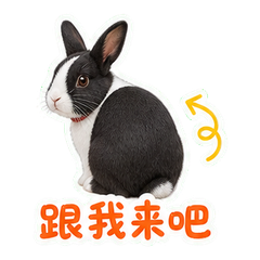 表情 6