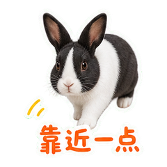 表情 5