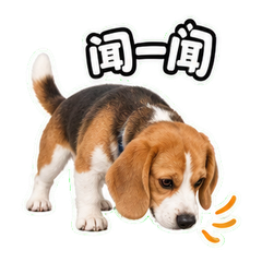 表情 2