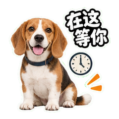 表情 3
