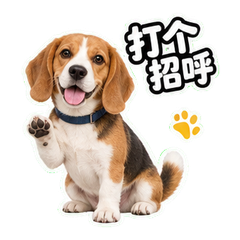 表情 6