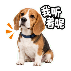表情 1
