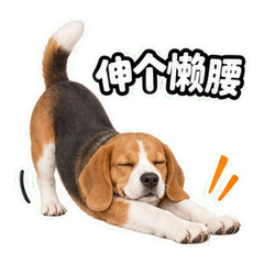 表情 10