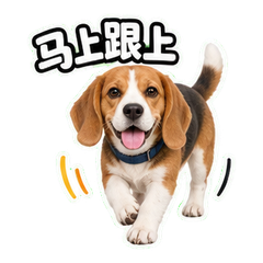 表情 4
