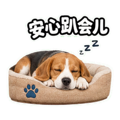 表情 12