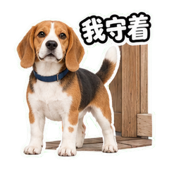 表情 9