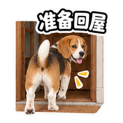 表情 11