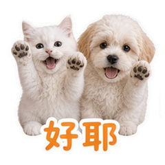 貼圖 7
