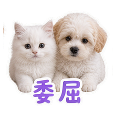 貼圖 8