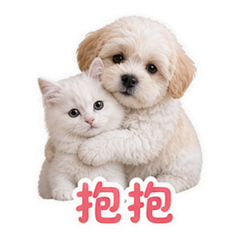 貼圖 5