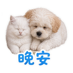 貼圖 12