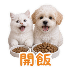 貼圖 11