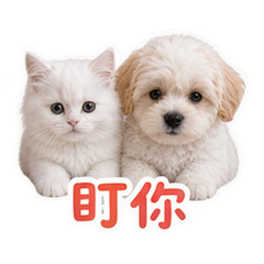 貼圖 9