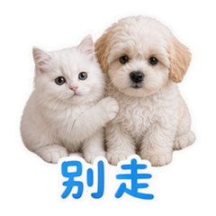 貼圖 10