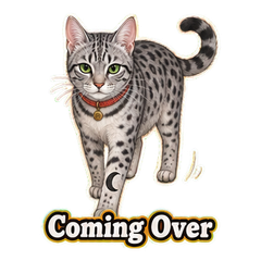Sticker 7