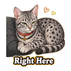Sticker 11