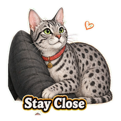 Sticker 6