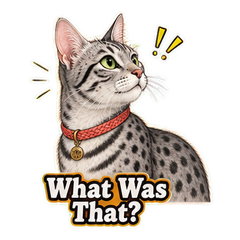 Sticker 5