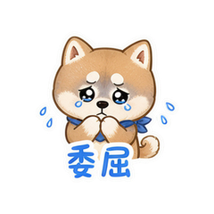 表情 6