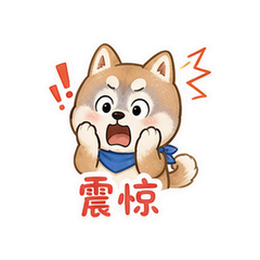 表情 5