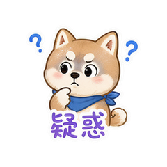 柴哈小贝 #4
