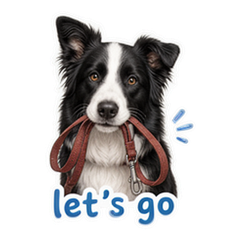Border Collie Notes sticker 2