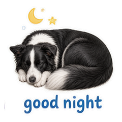 Sticker 12
