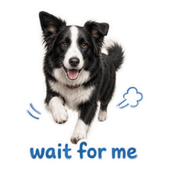 Sticker 6