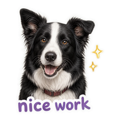 Border Collie Notes sticker 3