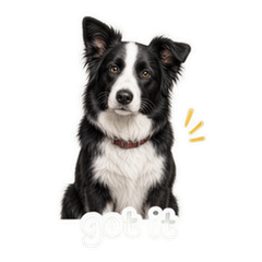 Border Collie Notes sticker 4