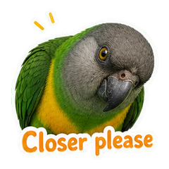 Sticker 5