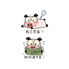 表情 8