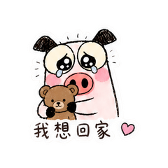 表情 11