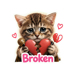Drama Queen Kitten Reactions #4