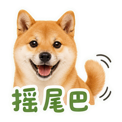 表情 5