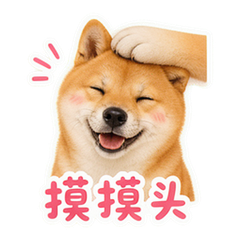 表情 11