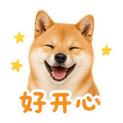 柴柴黏黏日常 #4