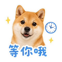 表情 10
