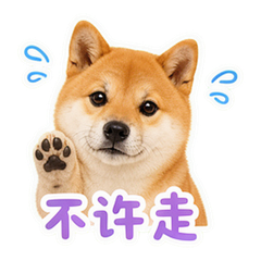表情 6