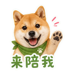 表情 12