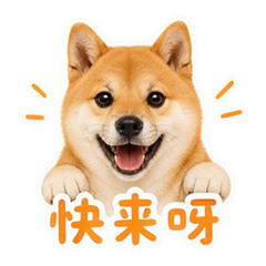 表情 8