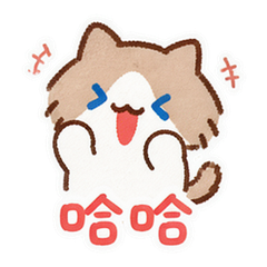 泪汪汪小猫 #1