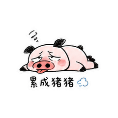 表情 12