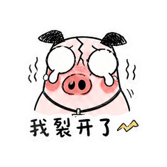 表情 5