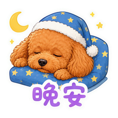 卷卷狗日常 #4