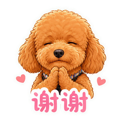 卷卷狗日常 #3