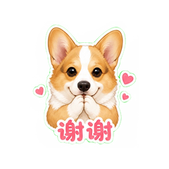 小柯基日常 #2